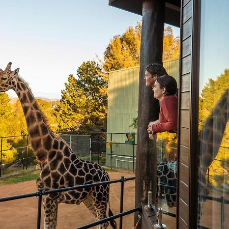 Jamala Wildlife Lodge Camberra Exterior foto