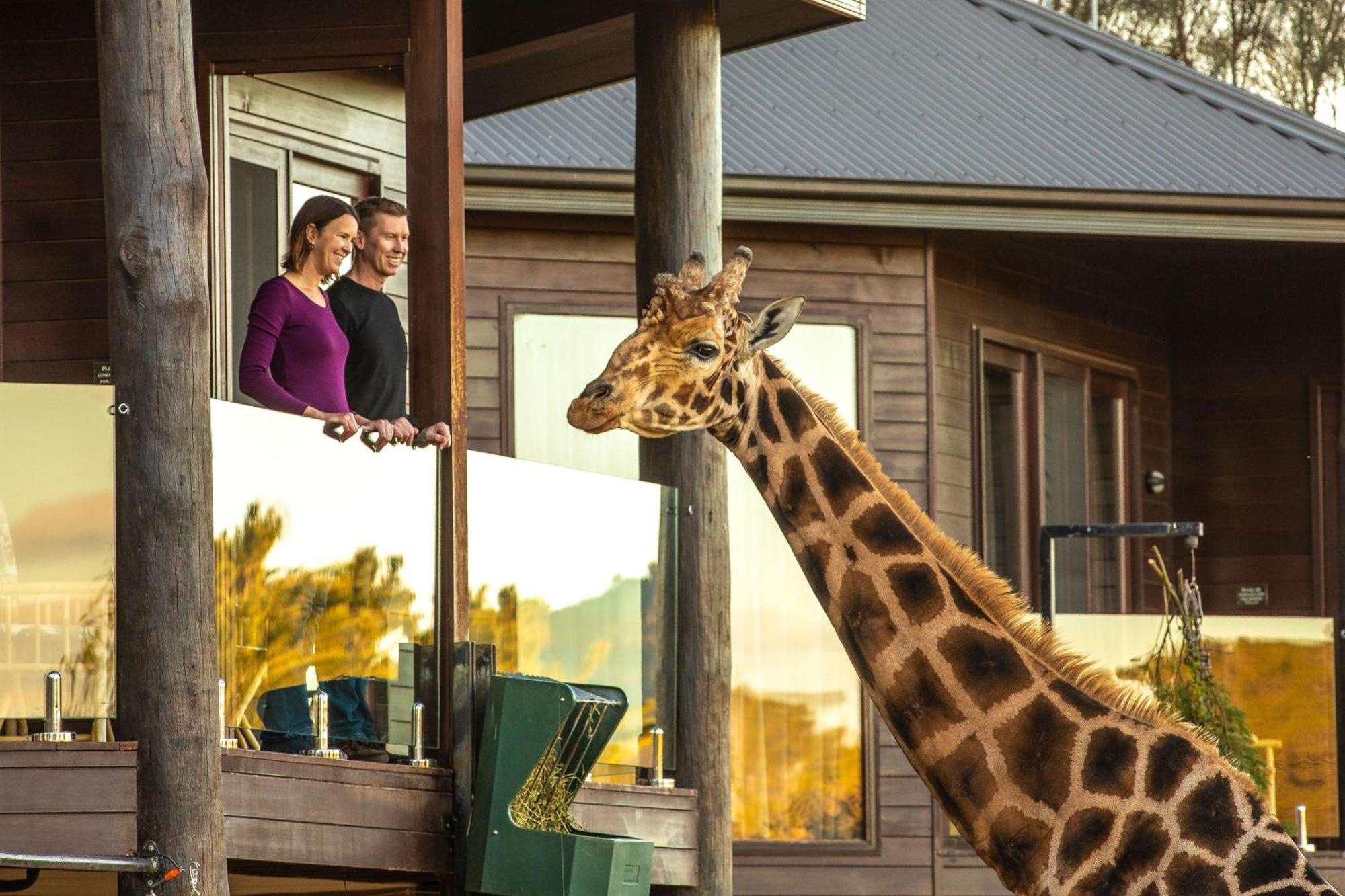 Jamala Wildlife Lodge Camberra Exterior foto